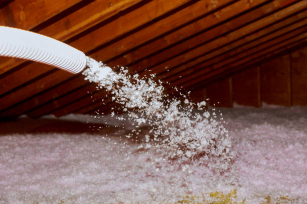 Best Crawl Space Insulation  in Greenville, NC