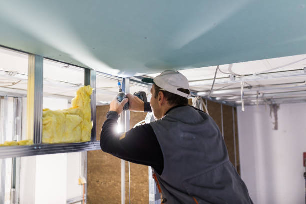 Best Blown-in Insulation  in Greenville, NC