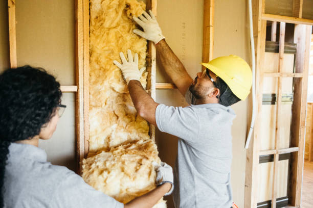 Best Commercial Insulation Contractor  in Greenville, NC