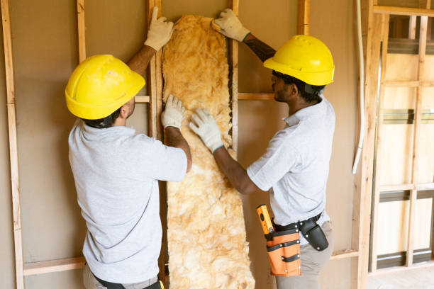 Best Insulation Repair Services  in Greenville, NC