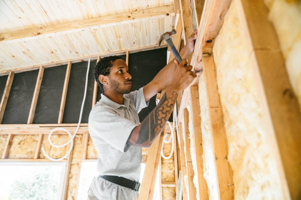 Best Fiberglass Insulation  in Greenville, NC