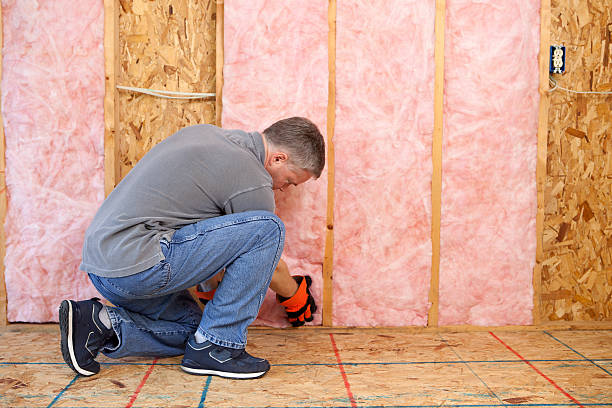 Best Insulation Repair Services  in Greenville, NC
