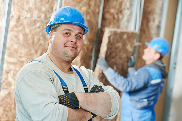Best Professional Insulation Contractor  in Greenville, NC