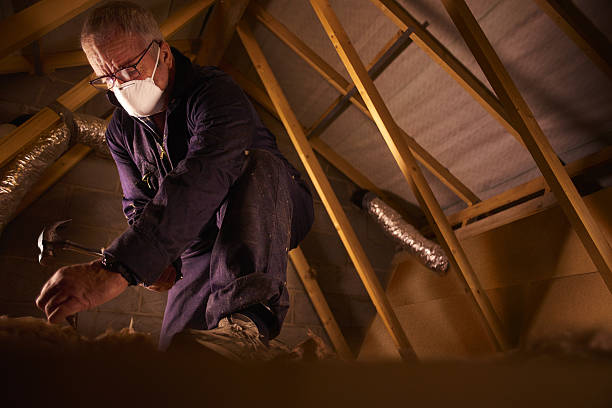 Best Insulation Replacement Services  in Greenville, NC