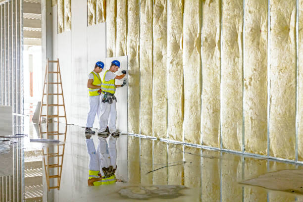 Best Affordable Insulation Services  in Greenville, NC